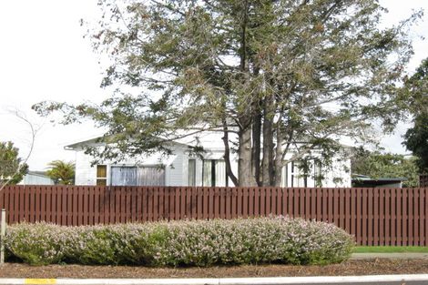 Photo of property in 505 Avenue Road East, Hastings, 4122