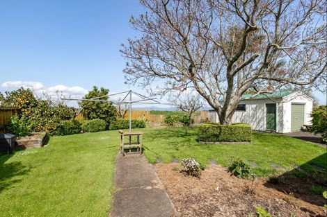 Photo of property in 8 Harris Place, Ngatea, 3503