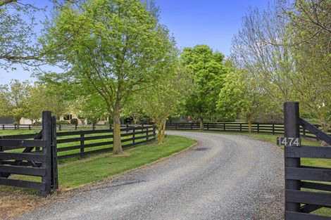 Photo of property in 1474 Tram Road, Swannanoa, Rangiora, 7475