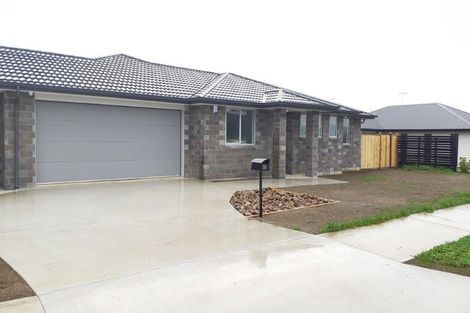 Photo of property in 38 Escotts Road, Tuakau, 2121