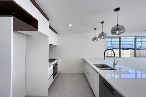 Photo of property in 38 John Gray Street, Papakura, 2110