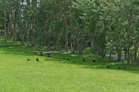 Photo of property in 56 Wattle Lane, Kaiwaka, 0573