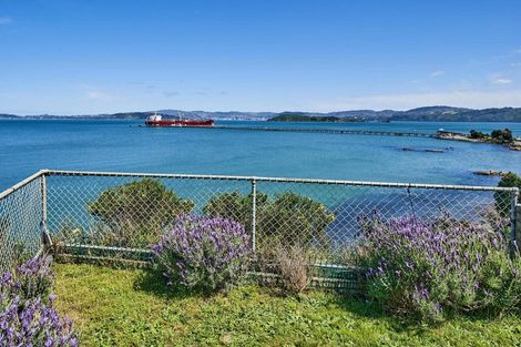 Photo of property in 121 Marine Drive, Sorrento Bay, Lower Hutt, 5013