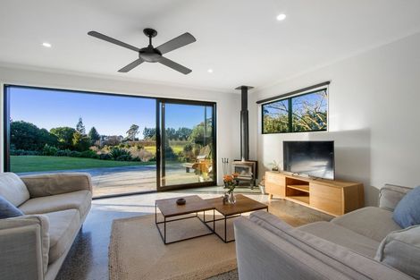 Photo of property in 178 Plummers Point Road, Whakamarama, Tauranga, 3172