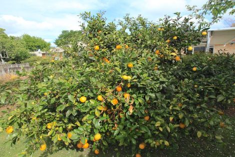 Photo of property in 14 Tongariro Street, Chartwell, Hamilton, 3210