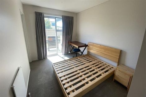 Photo of property in 7 Tika Street, Riccarton, Christchurch, 8041