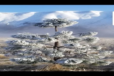 Photo of property in 344 Manuka Terrace, Ben Ohau, Twizel, 7999