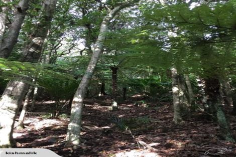 Photo of property in 16 Waikarekare Lane, Karekare, Auckland, 0772