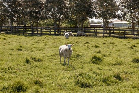 Photo of property in 109 Te Rahu Road, Poroporo, Whakatane, 3193