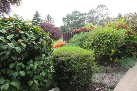 Photo of property in 115 Domain Avenue, Temuka, 7920