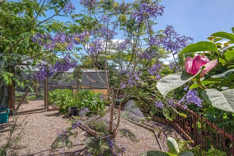 Photo of property in 119 Arran Road, Browns Bay, Auckland, 0630