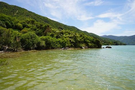 Photo of property in 699 Queen Charlotte Drive, Havelock, Picton, 7281