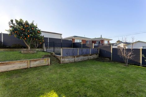 Photo of property in 31 Young Street, Morrinsville, 3300