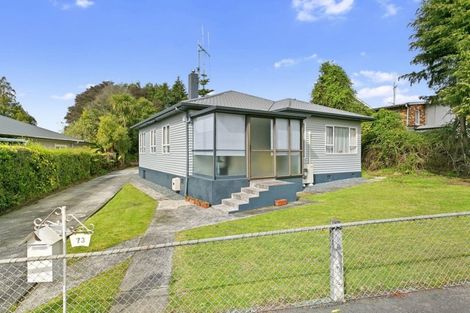 Photo of property in 73 Tirau Street, Putaruru, 3411