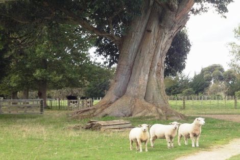 Photo of property in 1644 Cheltenham Hunterville Road, Waituna West, Rewa, 4780