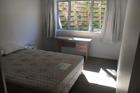 Photo of property in 20 Durham Street, Aro Valley, Wellington, 6021