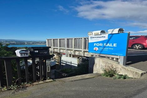 Photo of property in 93 Rakau Road, Hataitai, Wellington, 6021