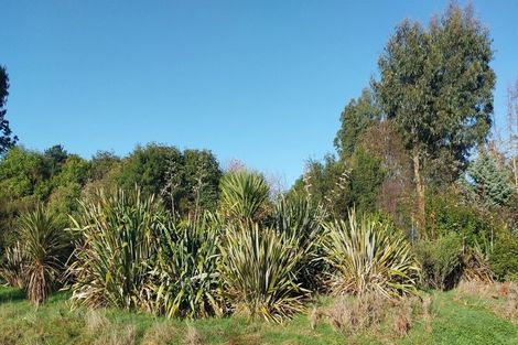 Photo of property in 39 Bright Street, Eketahuna, 4900