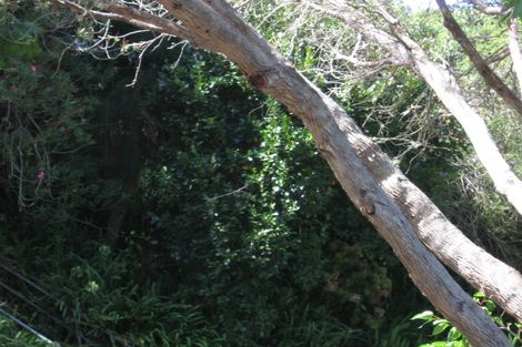 Photo of property in 47 Brigantine Drive, Beach Haven, Auckland, 0626