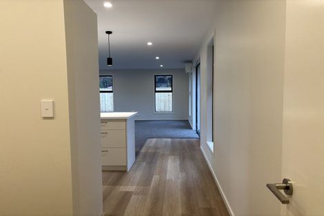 Photo of property in 86 Hill Street, Richmond, 7020