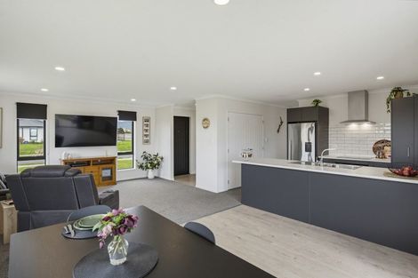 Photo of property in 42 Tainui Street, Levin, 5510