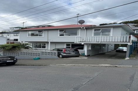 Photo of property in 87 Majoribanks Street, Mount Victoria, Wellington, 6011