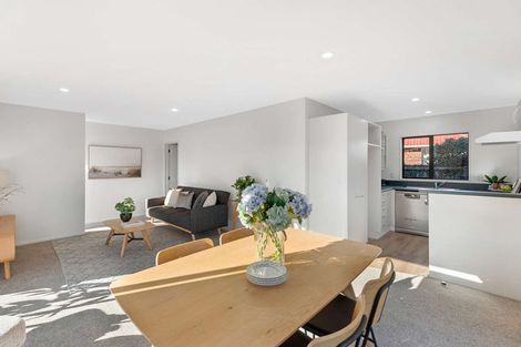 Photo of property in 1/58 Hope Street, Shirley, Christchurch, 8013