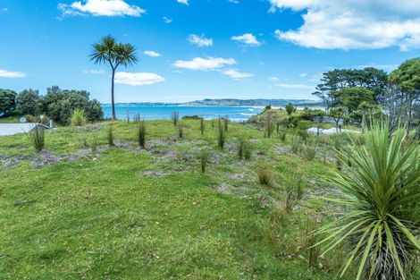 Photo of property in 39 Happy Jacks Road, Mahia, 4198