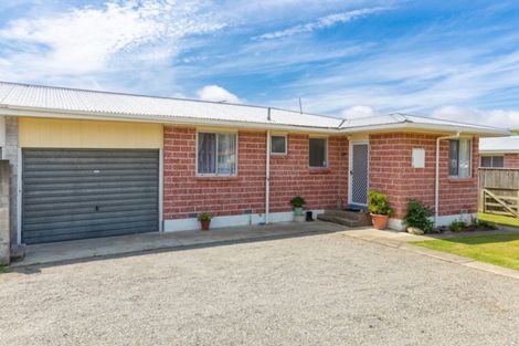 Photo of property in 60a Leefield Street, Blenheim, 7201