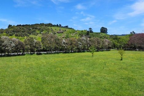 Photo of property in 1009 White Pine Bush Road, Taneatua, Whakatane, 3191