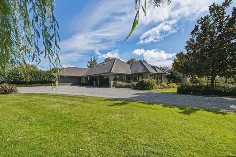 Photo of property in 161 Easterbrook Road, Fernside, Kaiapoi, 7691