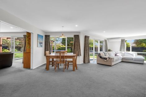 Photo of property in 21 Christie Place, Rolleston, 7614