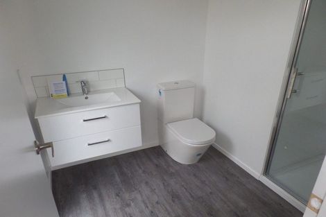 Photo of property in 45 Buffon Street, Waltham, Christchurch, 8023