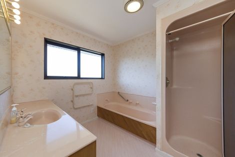 Photo of property in 225 The Terrace, Ashhurst, 4810