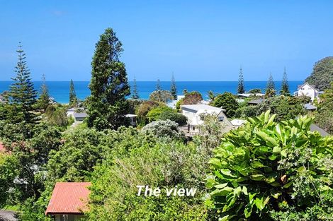 Photo of property in 127 Tuna Place, Onemana, Whangamata, 3691