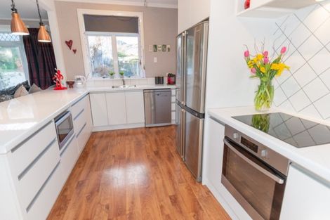 Photo of property in 111 Tarbert Street, Alexandra, 9320