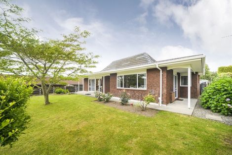 Photo of property in 3 Coronet Place, Awapuni, Palmerston North, 4412