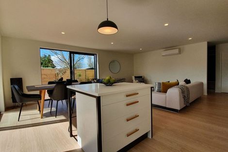 Photo of property in 2b Martin Street, Palmerston North, 4414