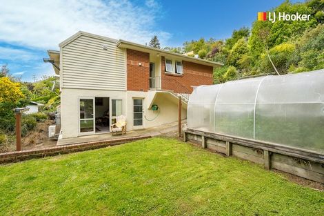 Photo of property in 55 Falcon Street, Kaikorai, Dunedin, 9010