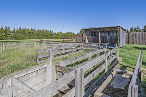 Photo of property in 201 Karanga Road, Dunsandel, Leeston, 7682