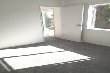 Photo of property in 201c Mount Albert Road, Wesley, Auckland, 1025