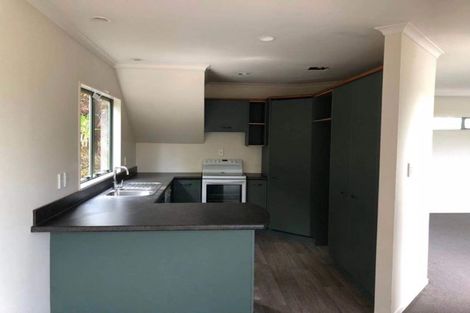 Photo of property in 28 Clarkin Road, Fairfield, Hamilton, 3214