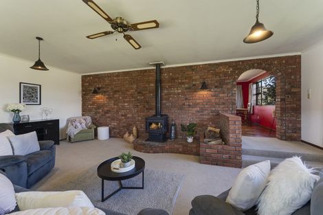 Photo of property in 32 Wicklow Street, Cromwell, 9310