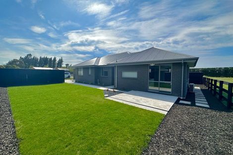 Photo of property in 36 Plover Avenue, Amberley, 7410