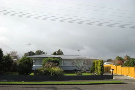 Photo of property in 6 Green Avenue, Levin, 5510