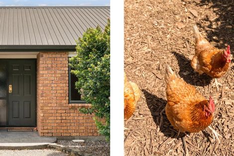 Photo of property in 928 Omanawa Road, Omanawa, Tauranga, 3171