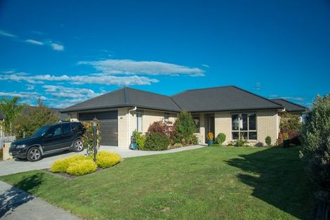 Photo of property in 81 Mataroa Crescent, Flagstaff, Hamilton, 3210