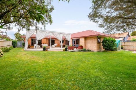 Photo of property in 50 Tuirangi Street, Flagstaff, Hamilton, 3210