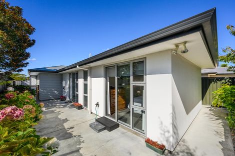 Photo of property in 65b Albert Street, Palmerston North, 4414