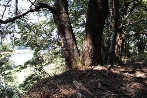 Photo of property in 306 Lillburn Monowai Road, Dean, Tuatapere, 9691